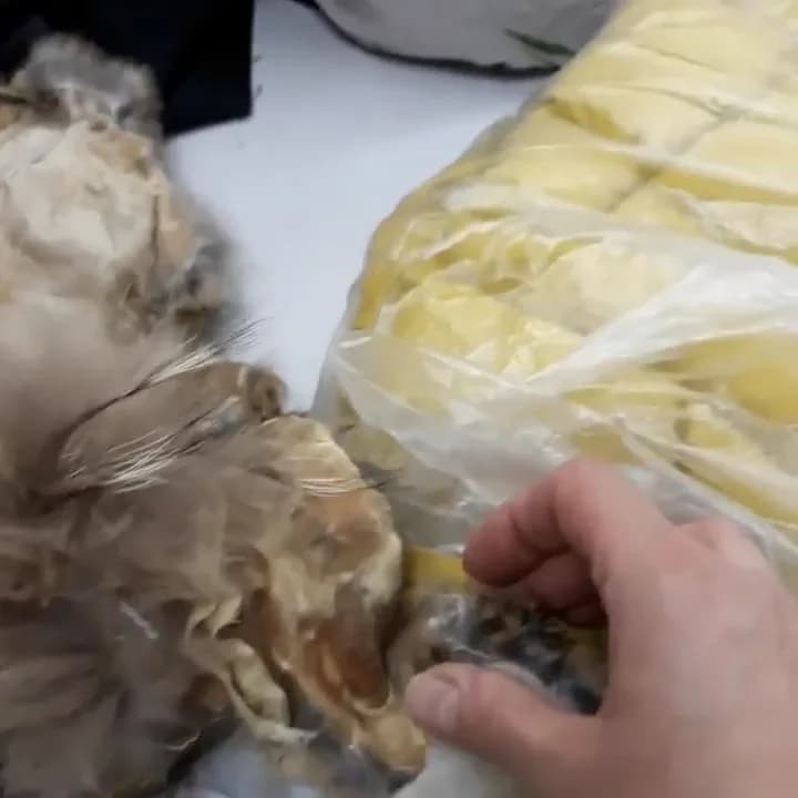 Замена испорченной химчисткой опушки на пуховике