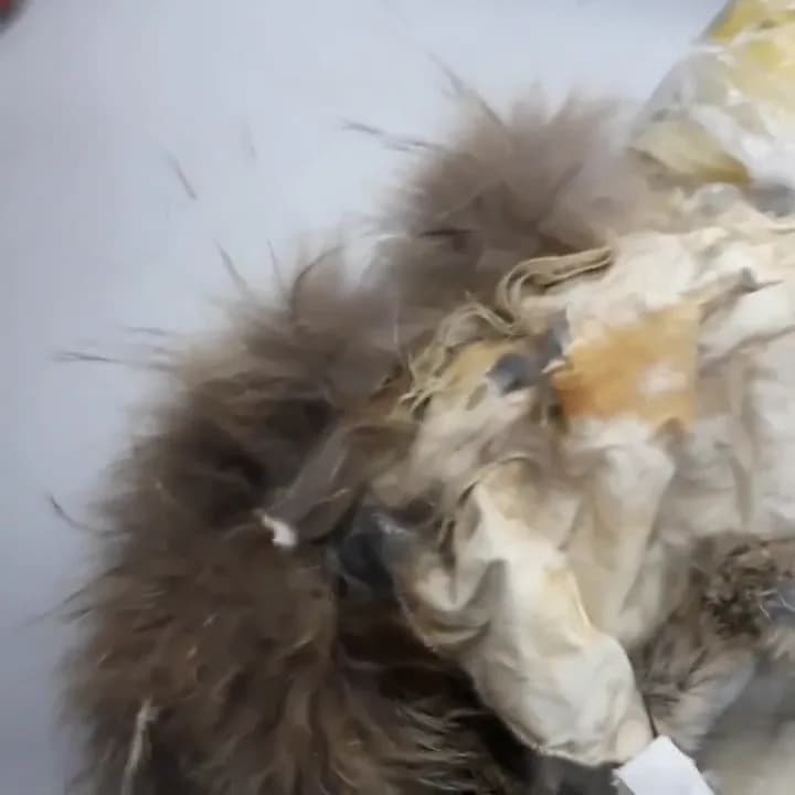 Replacing fur trim damaged by dry cleaning